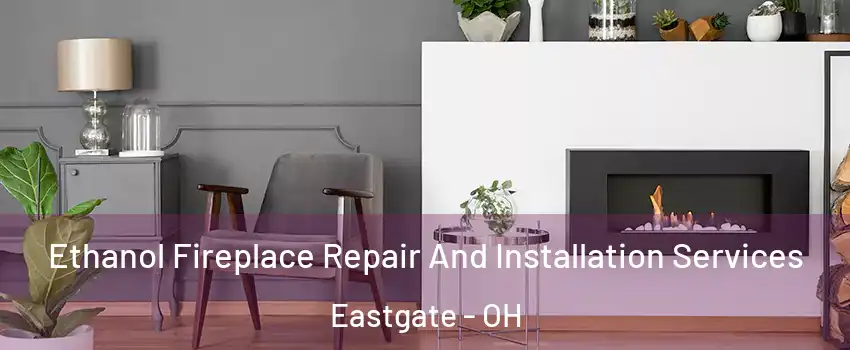 Ethanol Fireplace Repair And Installation Services Eastgate - OH
