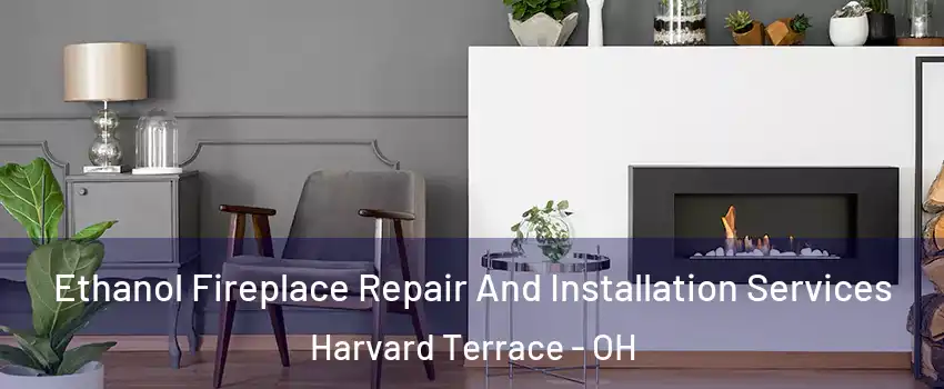 Ethanol Fireplace Repair And Installation Services Harvard Terrace - OH