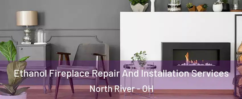 Ethanol Fireplace Repair And Installation Services North River - OH