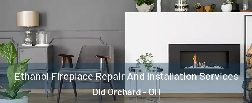 Ethanol Fireplace Repair And Installation Services Old Orchard - OH