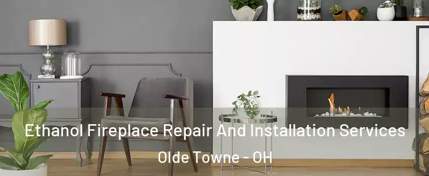 Ethanol Fireplace Repair And Installation Services Olde Towne - OH