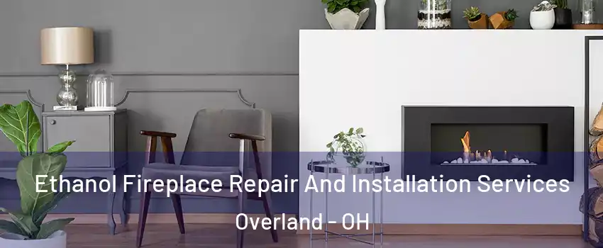 Ethanol Fireplace Repair And Installation Services Overland - OH