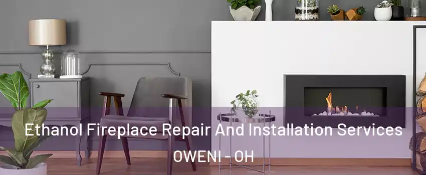 Ethanol Fireplace Repair And Installation Services OWENI - OH