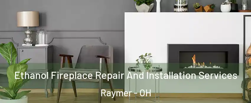 Ethanol Fireplace Repair And Installation Services Raymer - OH