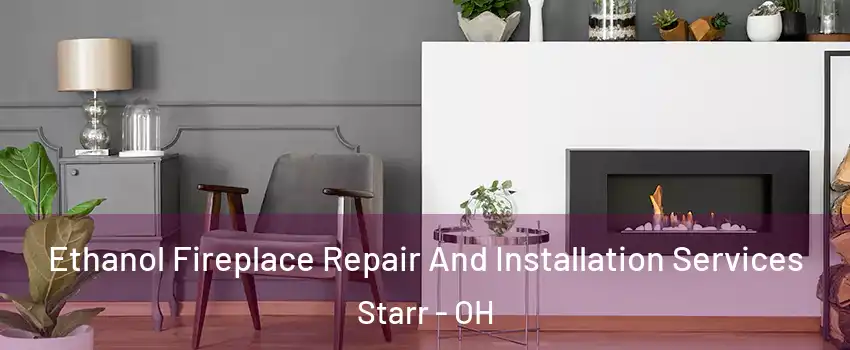 Ethanol Fireplace Repair And Installation Services Starr - OH