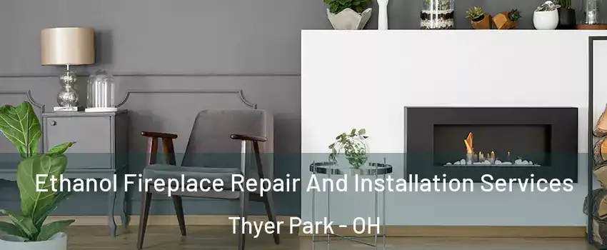 Ethanol Fireplace Repair And Installation Services Thyer Park - OH