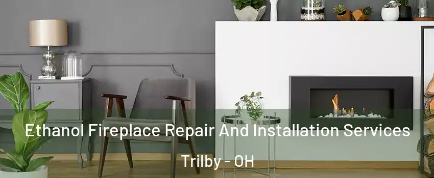 Ethanol Fireplace Repair And Installation Services Trilby - OH