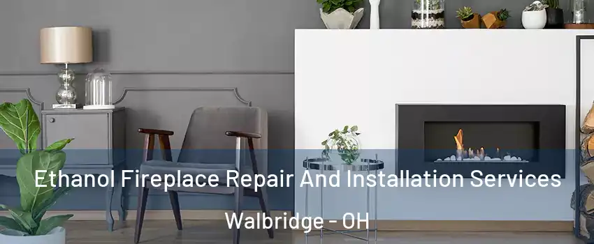 Ethanol Fireplace Repair And Installation Services Walbridge - OH