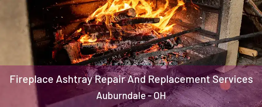 Fireplace Ashtray Repair And Replacement Services Auburndale - OH