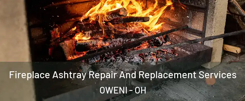 Fireplace Ashtray Repair And Replacement Services OWENI - OH