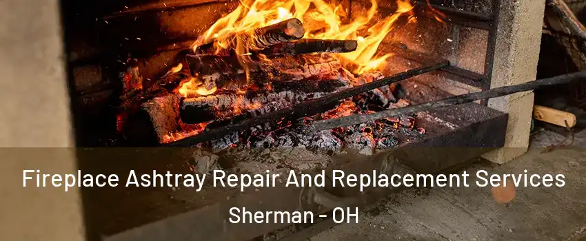 Fireplace Ashtray Repair And Replacement Services Sherman - OH