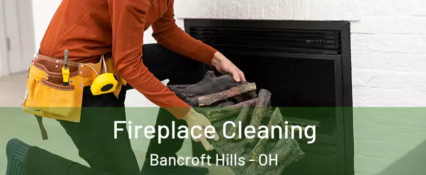 Fireplace Cleaning Bancroft Hills - OH