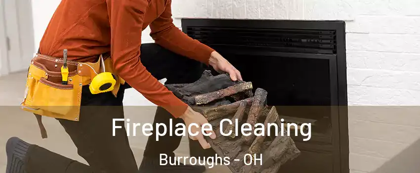 Fireplace Cleaning Burroughs - OH