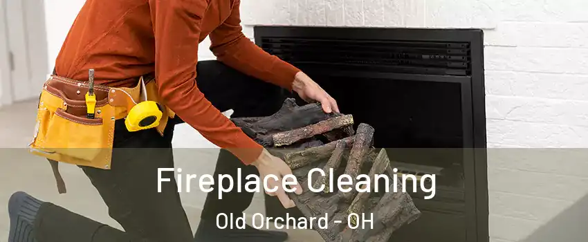 Fireplace Cleaning Old Orchard - OH
