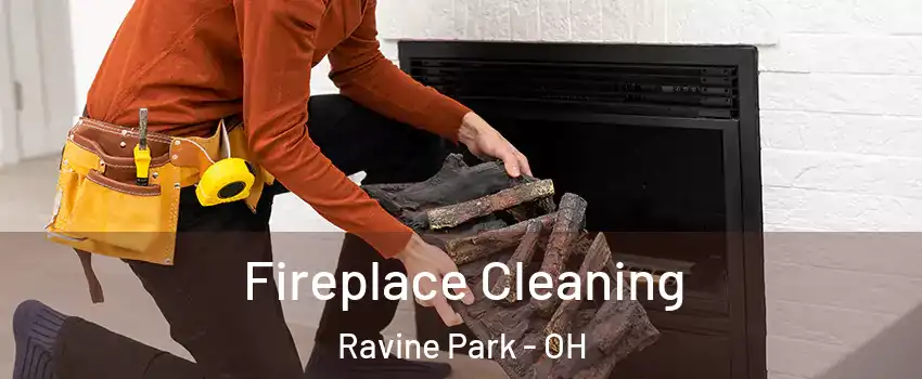 Fireplace Cleaning Ravine Park - OH