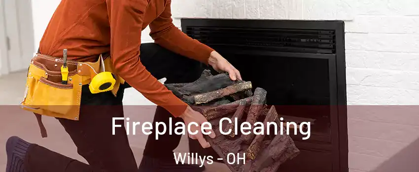 Fireplace Cleaning Willys - OH