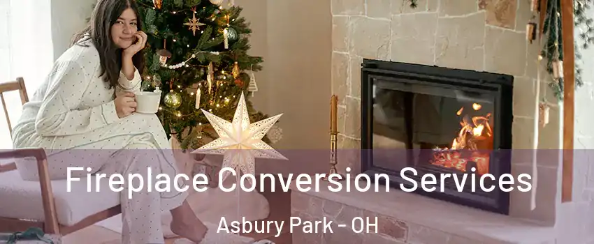 Fireplace Conversion Services Asbury Park - OH