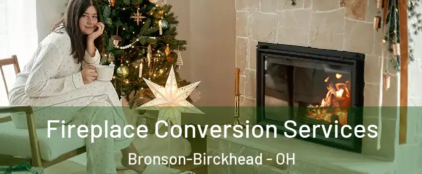 Fireplace Conversion Services Bronson-Birckhead - OH