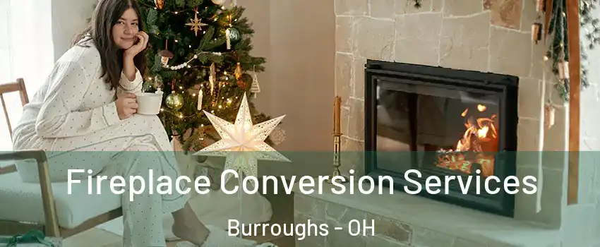 Fireplace Conversion Services Burroughs - OH