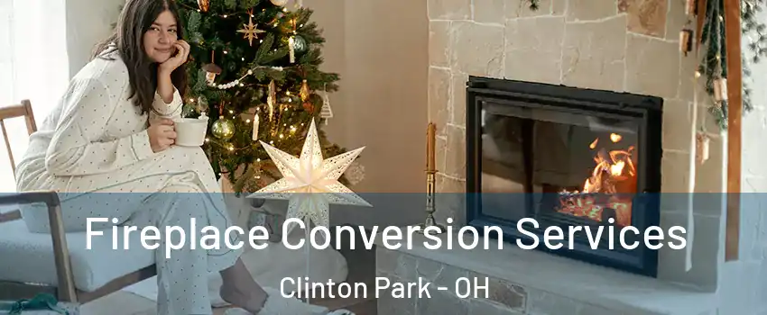 Fireplace Conversion Services Clinton Park - OH