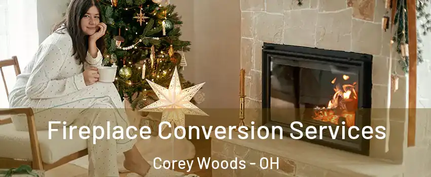 Fireplace Conversion Services Corey Woods - OH