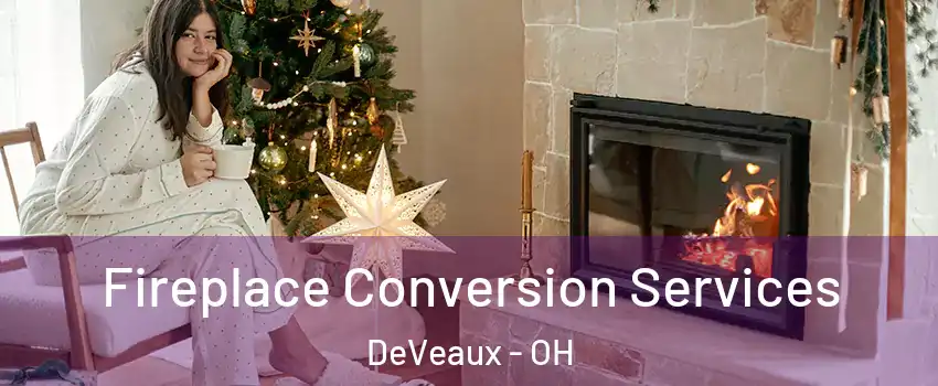 Fireplace Conversion Services DeVeaux - OH