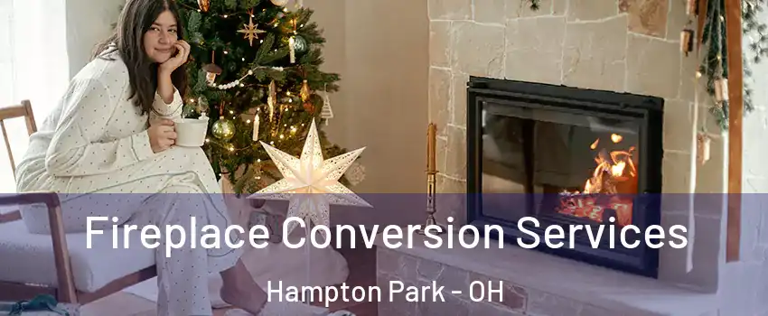 Fireplace Conversion Services Hampton Park - OH