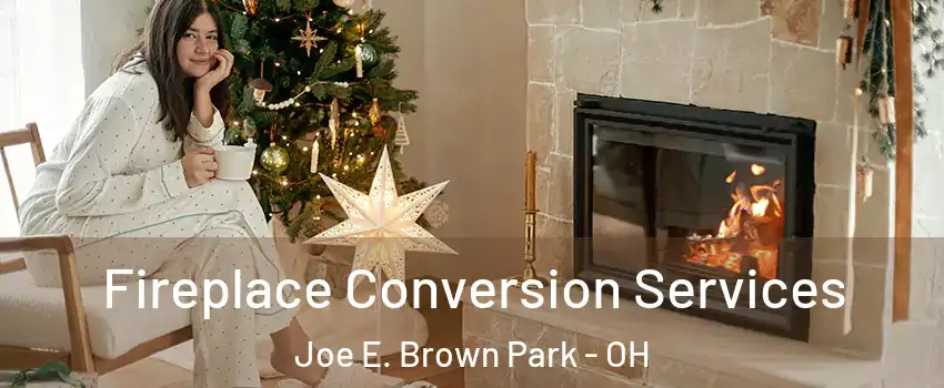 Fireplace Conversion Services Joe E. Brown Park - OH