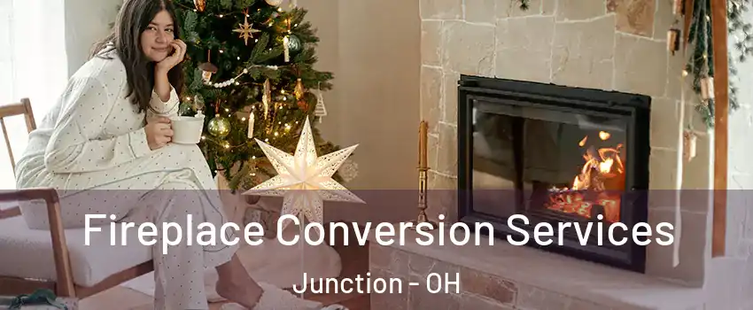 Fireplace Conversion Services Junction - OH