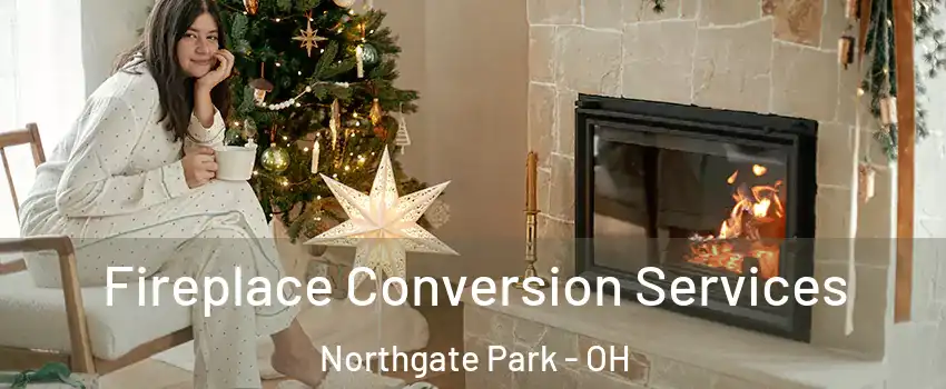 Fireplace Conversion Services Northgate Park - OH