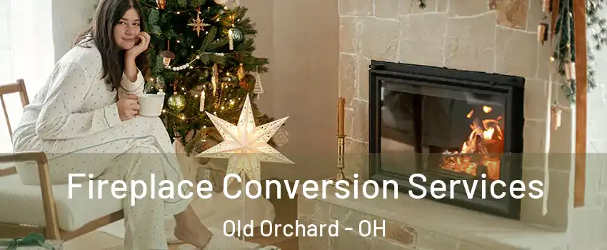 Fireplace Conversion Services Old Orchard - OH