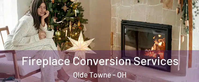 Fireplace Conversion Services Olde Towne - OH