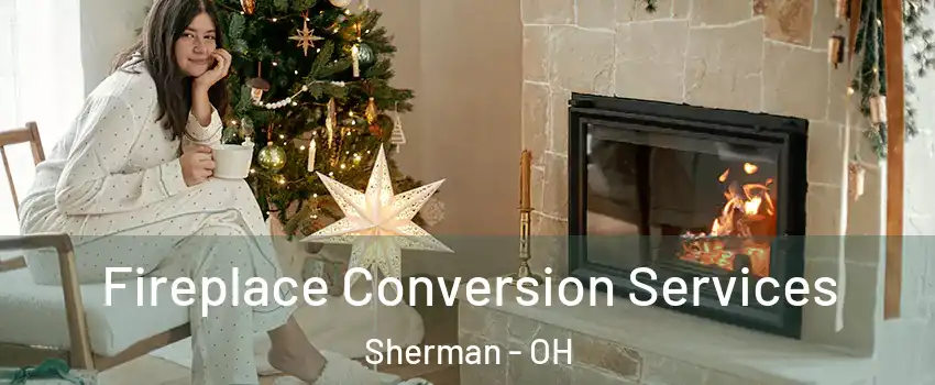 Fireplace Conversion Services Sherman - OH