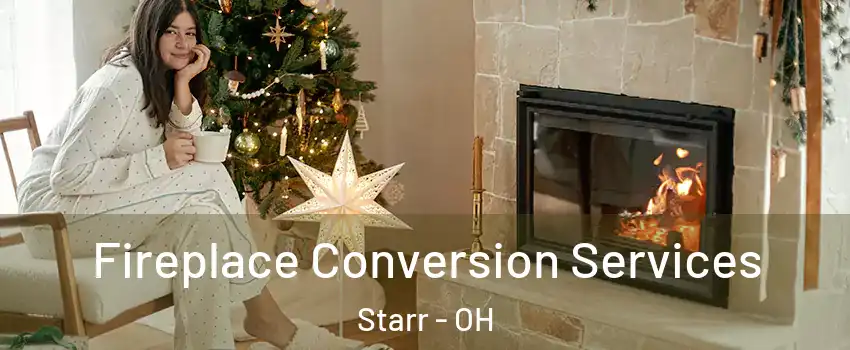 Fireplace Conversion Services Starr - OH
