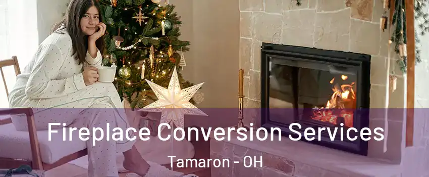 Fireplace Conversion Services Tamaron - OH