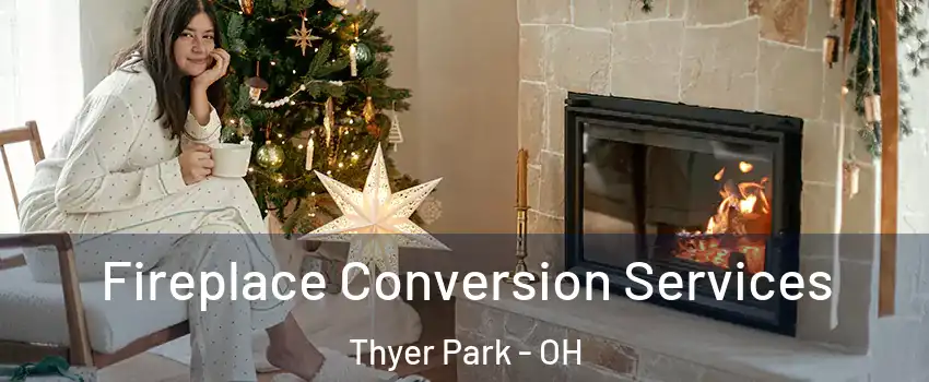 Fireplace Conversion Services Thyer Park - OH