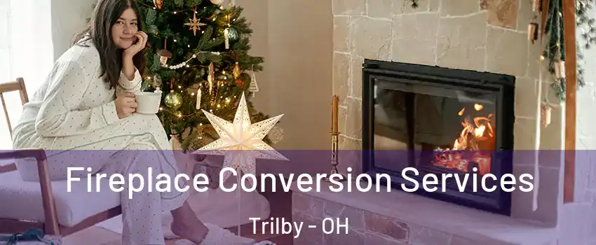 Fireplace Conversion Services Trilby - OH