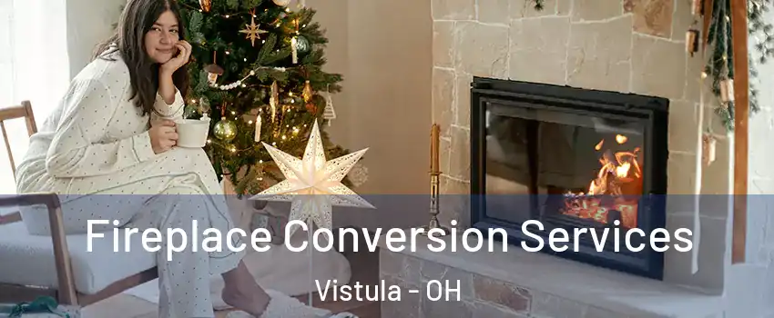Fireplace Conversion Services Vistula - OH