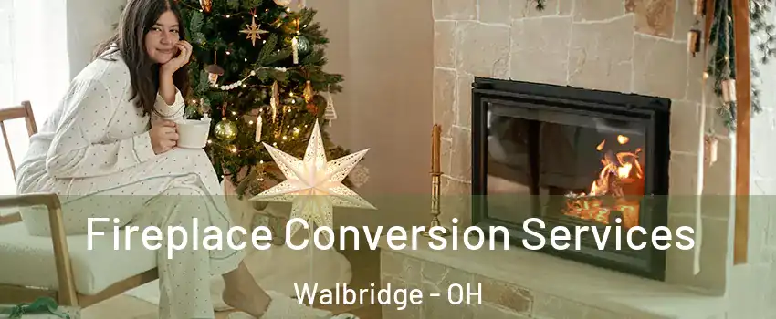 Fireplace Conversion Services Walbridge - OH