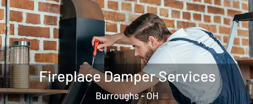 Fireplace Damper Services Burroughs - OH