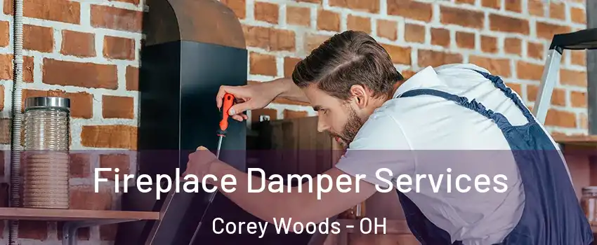 Fireplace Damper Services Corey Woods - OH