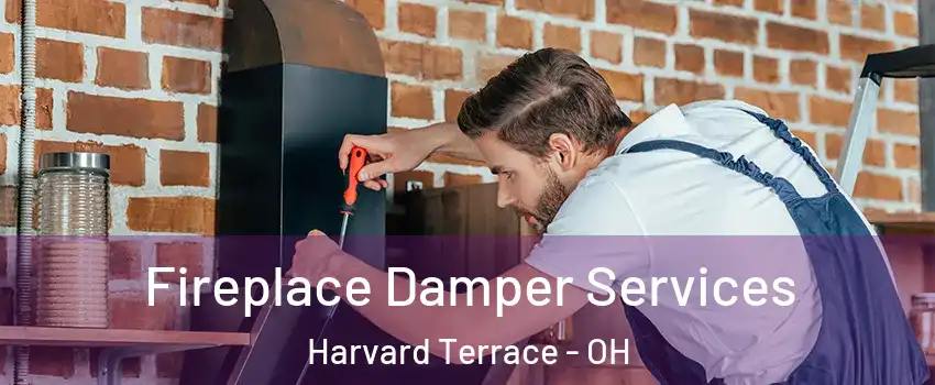 Fireplace Damper Services Harvard Terrace - OH