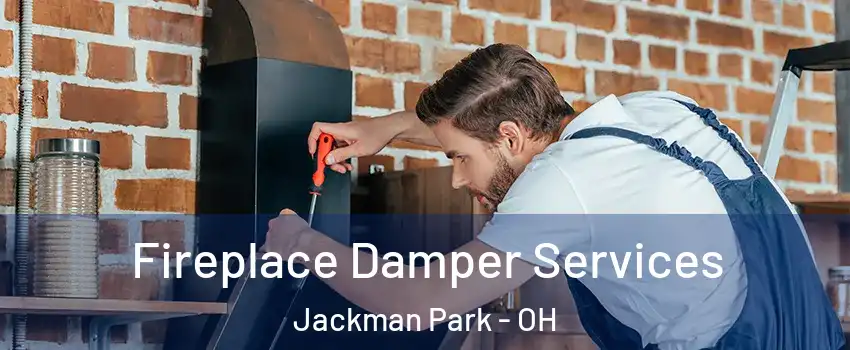 Fireplace Damper Services Jackman Park - OH