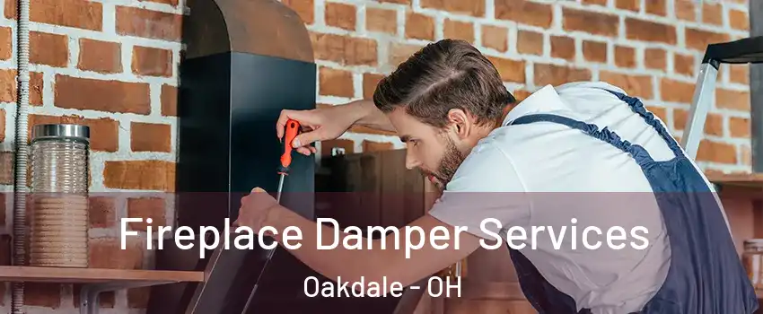 Fireplace Damper Services Oakdale - OH