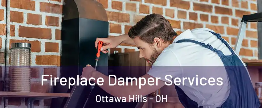 Fireplace Damper Services Ottawa Hills - OH