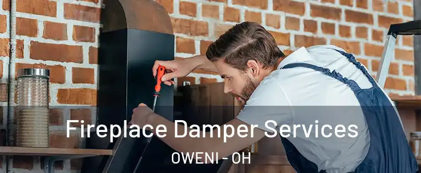 Fireplace Damper Services OWENI - OH