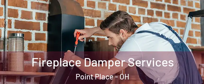 Fireplace Damper Services Point Place - OH