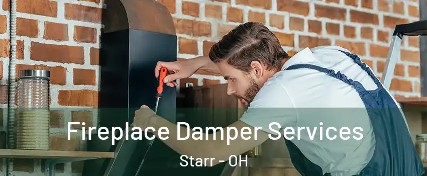 Fireplace Damper Services Starr - OH