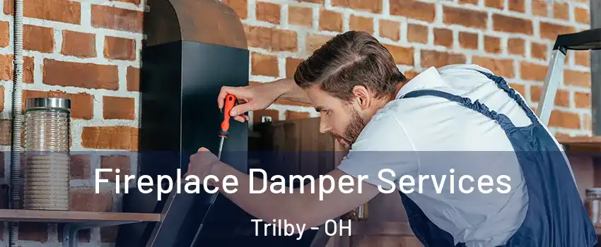 Fireplace Damper Services Trilby - OH
