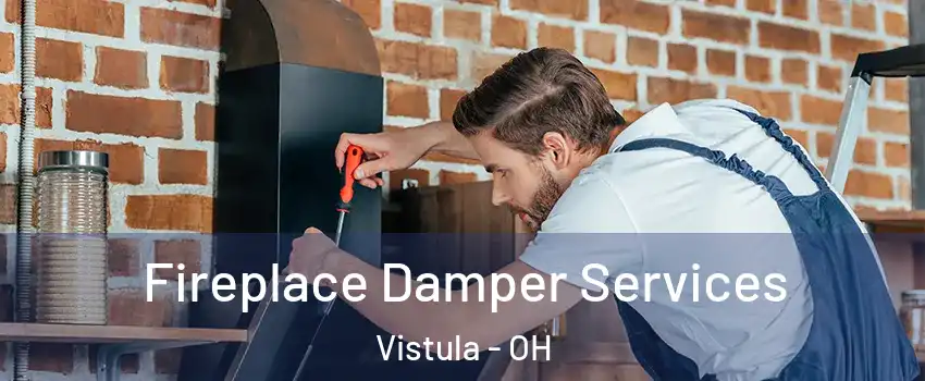 Fireplace Damper Services Vistula - OH
